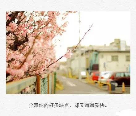 审计报告的内容有哪些