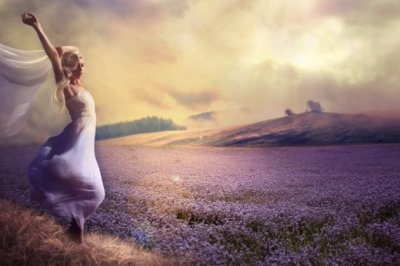 养宠物就要有责任 Keep Pets, Keep Responsibility