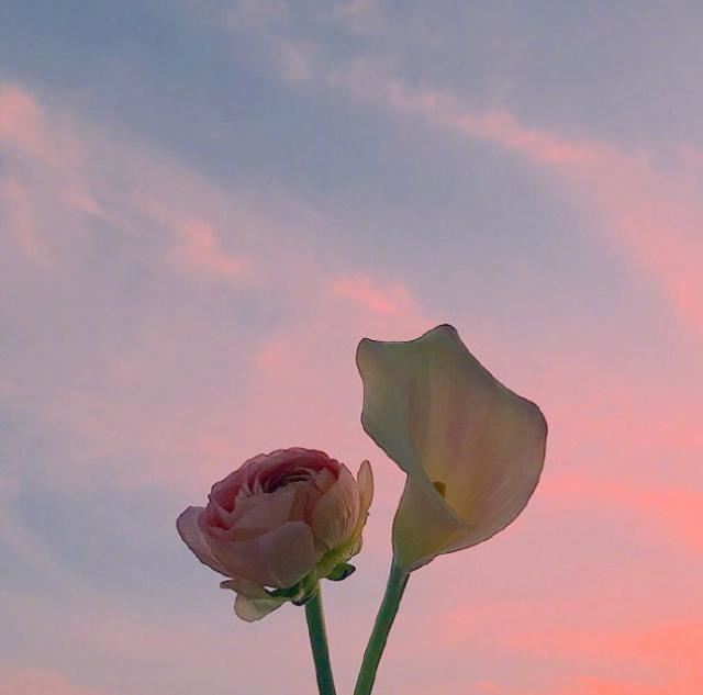 清明节扫墓：向英雄致敬！