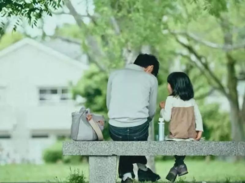 宁波大学怎么样