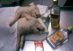 过年了诗歌