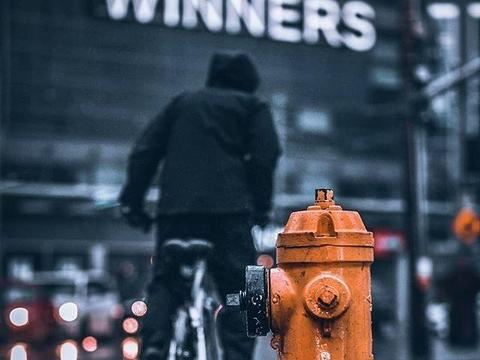 观察日记400字植物含羞草【7篇】