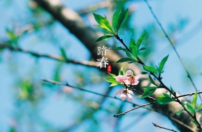 土地价值评估报告
