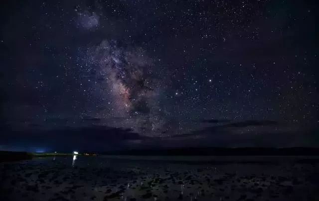 梅花二年级作文