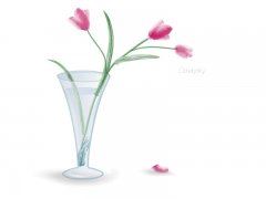 给客人道歉信