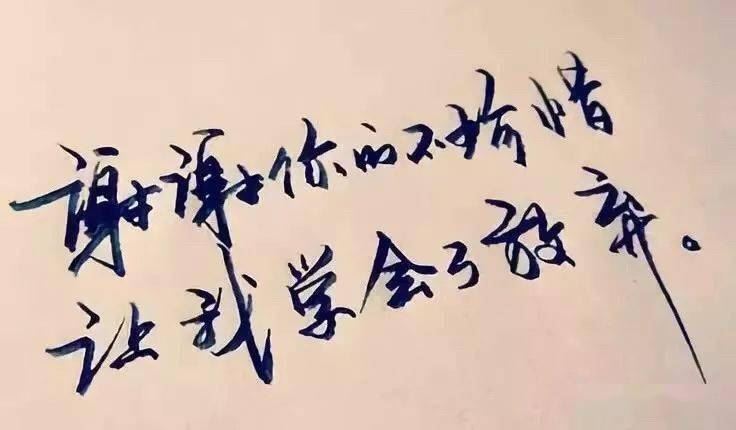 有缘再见