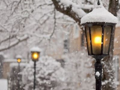 如何维护保护区 How to Maintain the Conservation Area