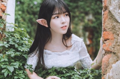可爱的含羞草