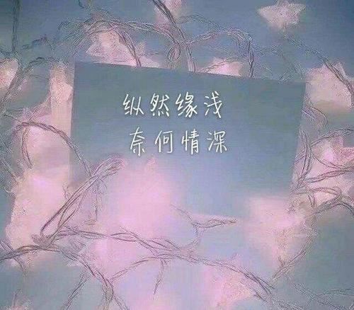 菩萨蛮·平林漠漠烟如织_原文及翻译