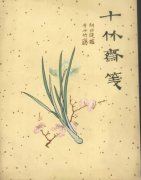 三八妇女节日记