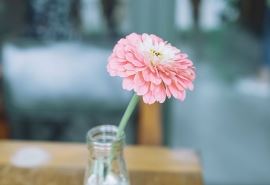 公司贺信范文