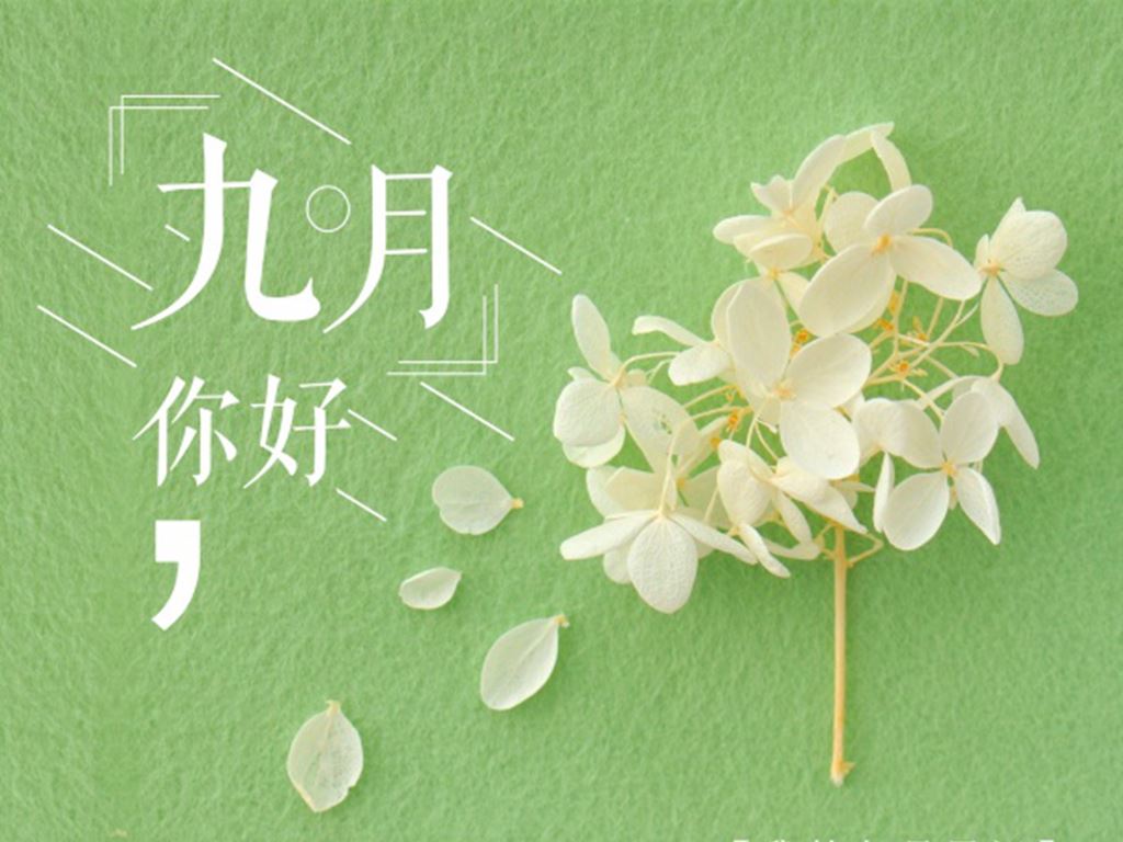 工作的格言摘录87条