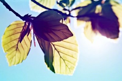 人工智能将如何影响我们的生活？ How will AI Affect our Life?