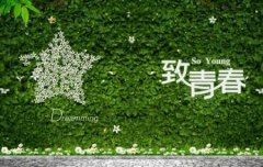 折纸步骤会跳的兔子
