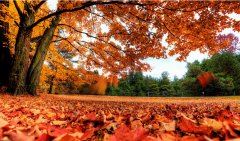 3月公务员入党申请书样本（精选20篇）