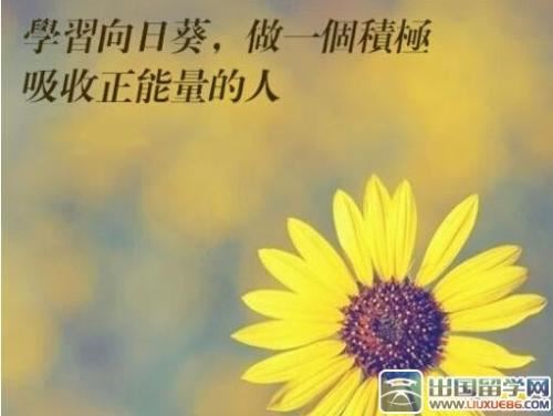 各国礼仪之韩国礼仪