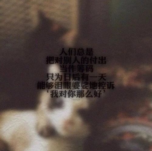 部队出纳述职报告
