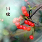 深圳市普通高考报考常见的问题有哪些