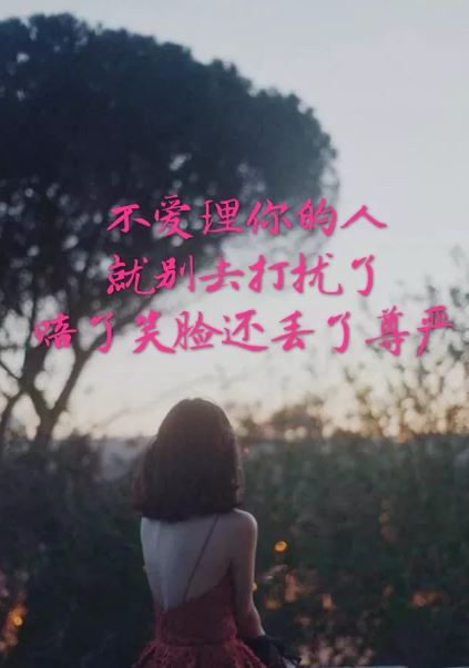 写给笑猫日记_作者杨红樱阿姨的一封信