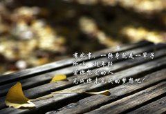 专转本自我鉴定