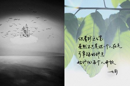 合肥一六八高中怎么样