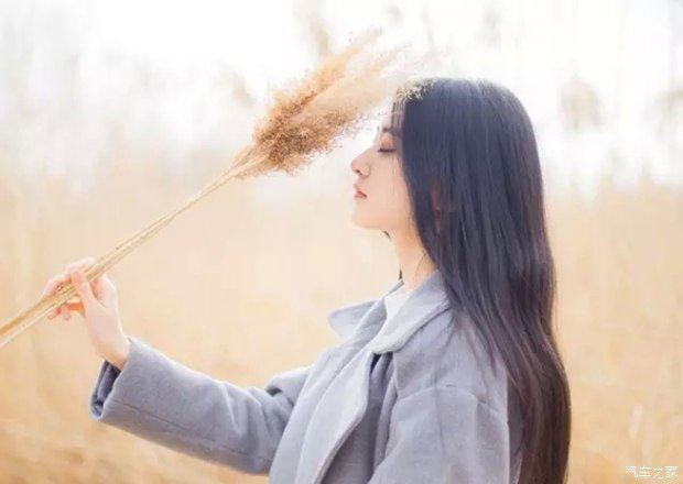 关于存款保险宣传素材使用工作反馈报告