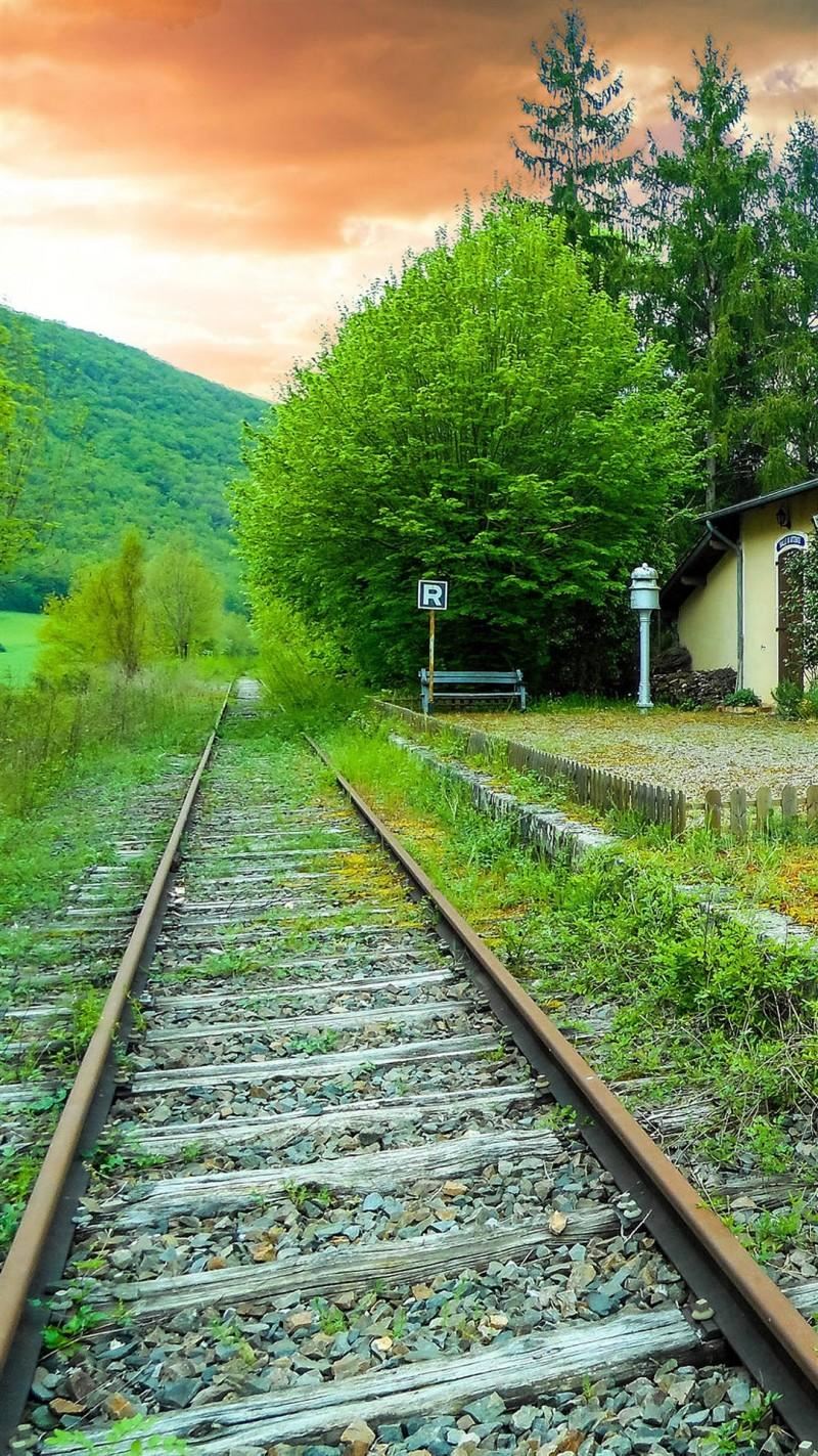 朋友