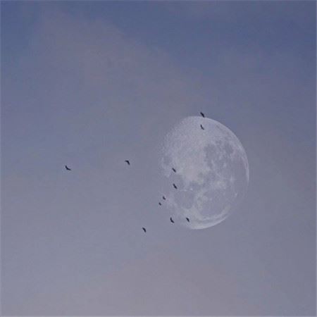 节日的英语作文：万圣节