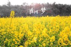 医院越冬蚊消除工作总结