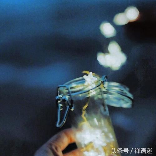 项目投资建议书