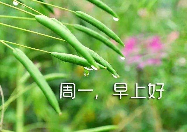 消防安全学生征文