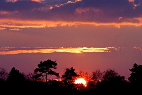 关于普通话我的理想3分钟【五篇】