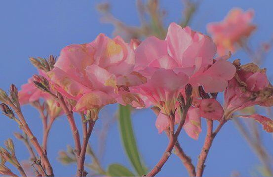 沪教版轻点关门_说课稿