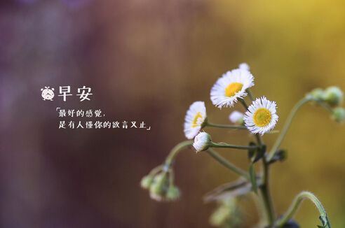 我的奶奶