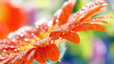 四年级下册语文第三单元作文