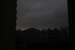 身边的小书虫