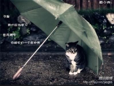 爱卫生讲文明的作文(通用2篇)