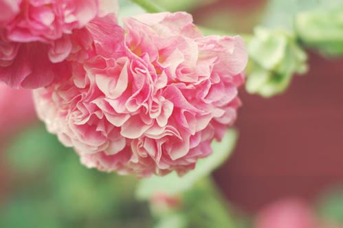 年度人物 Person of the Year