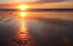 二十年后回故乡作文400字