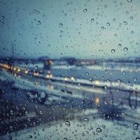 小班小手歌_说课稿