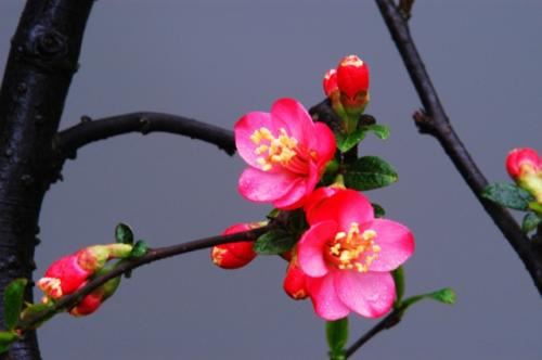 二十年后回故乡单元作文(合集10篇)