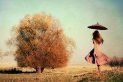 ILikeSummer英语作文带翻译