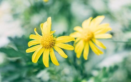 单位培训邀请函