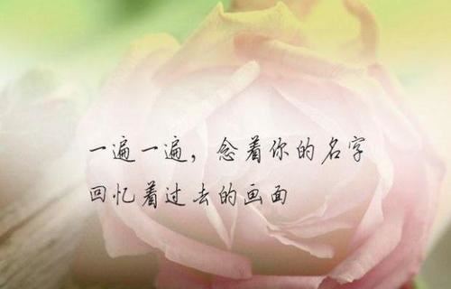 干事自我鉴定(2篇范文)