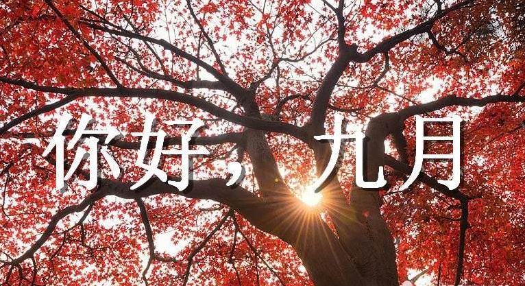 小数乘法教案