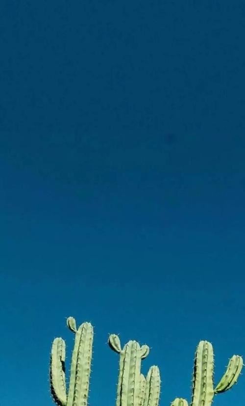 我的家乡五年级作文【汇编三篇】