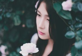 五一见闻作文600字