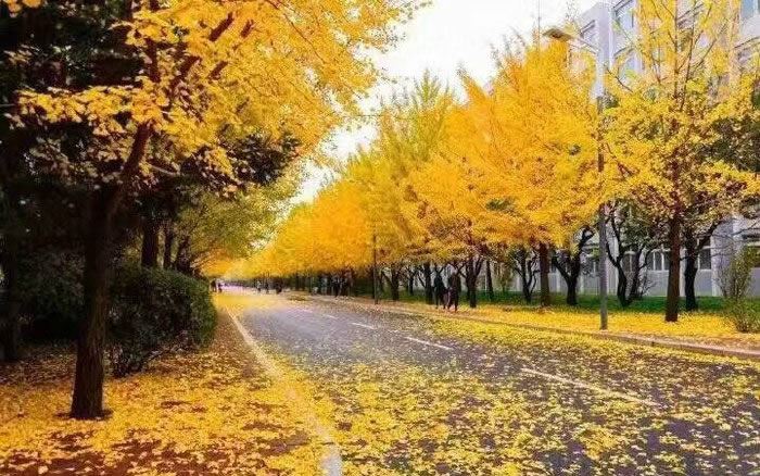 给学校的感谢信