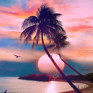 财务部年度总结