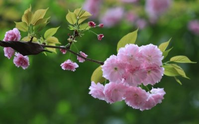 经典人生格言座右铭摘录50条